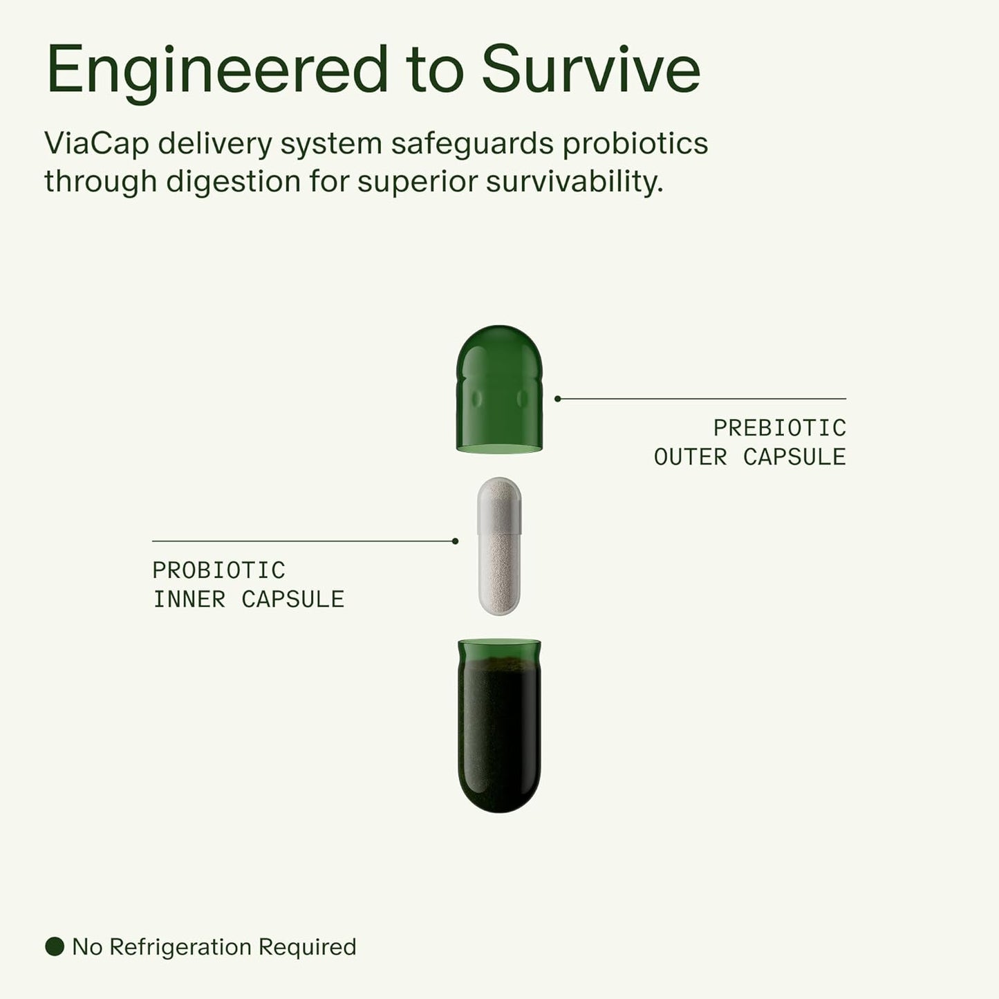 Daily Synbiotic